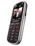 Best available price of Motorola WX288 in Trinidad