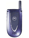 Best available price of Motorola V66i in Trinidad
